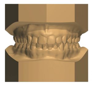 Ortho Viewer Software Image